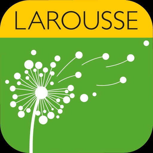 larousse de conjugación