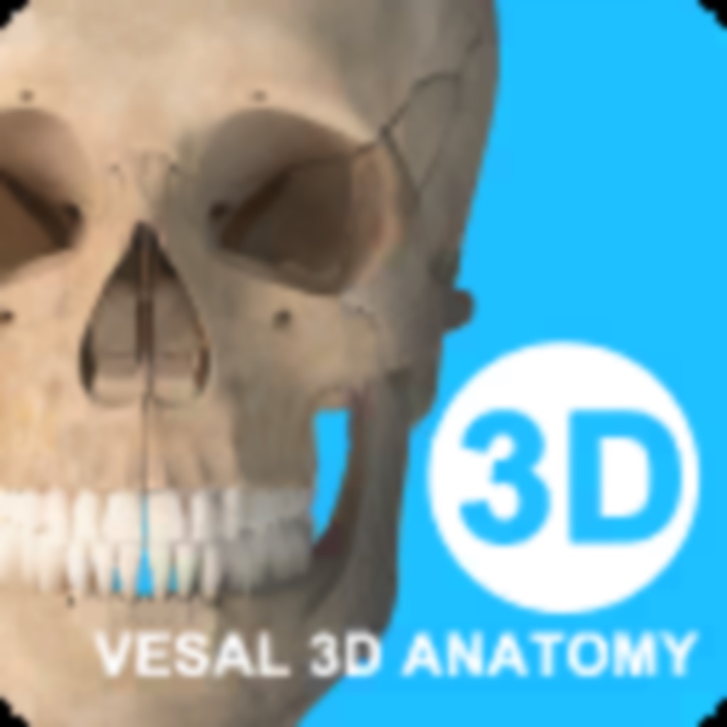 维萨里3D解剖-医学生解剖资源库