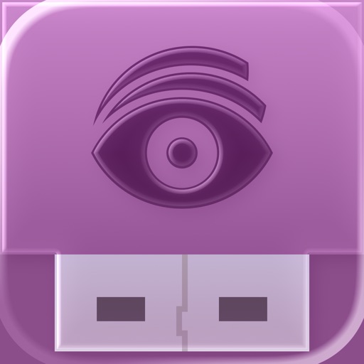 usb disk