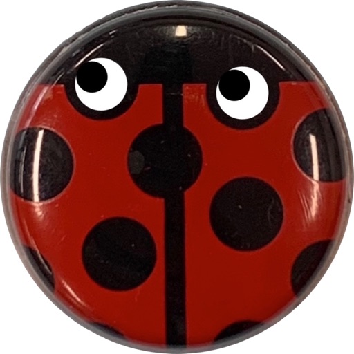 heartbug