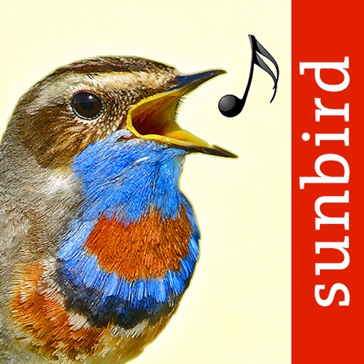 vogelstimmen id - rufe,gesänge