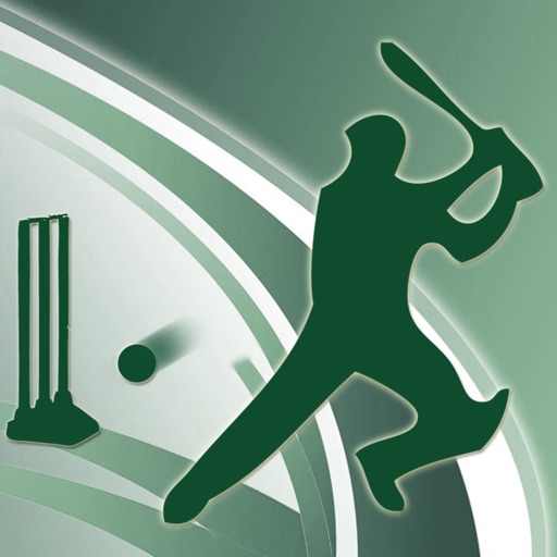 cricket power-play