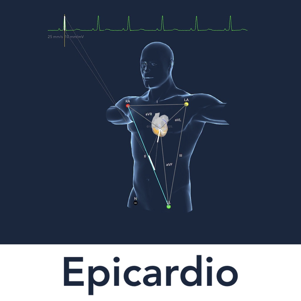 Heart Simulator