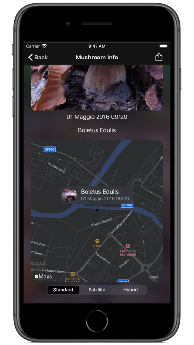 screenshot 8