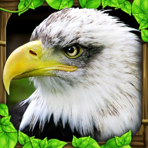 eagle simulator