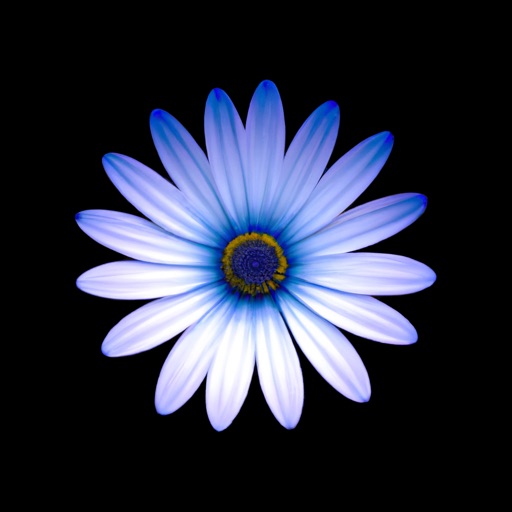 bluesim: bluetooth simulator