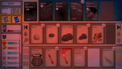 screenshot 10