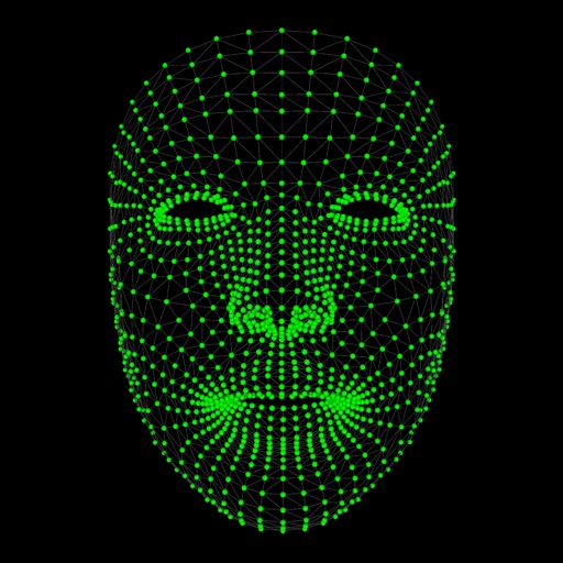 face mesh