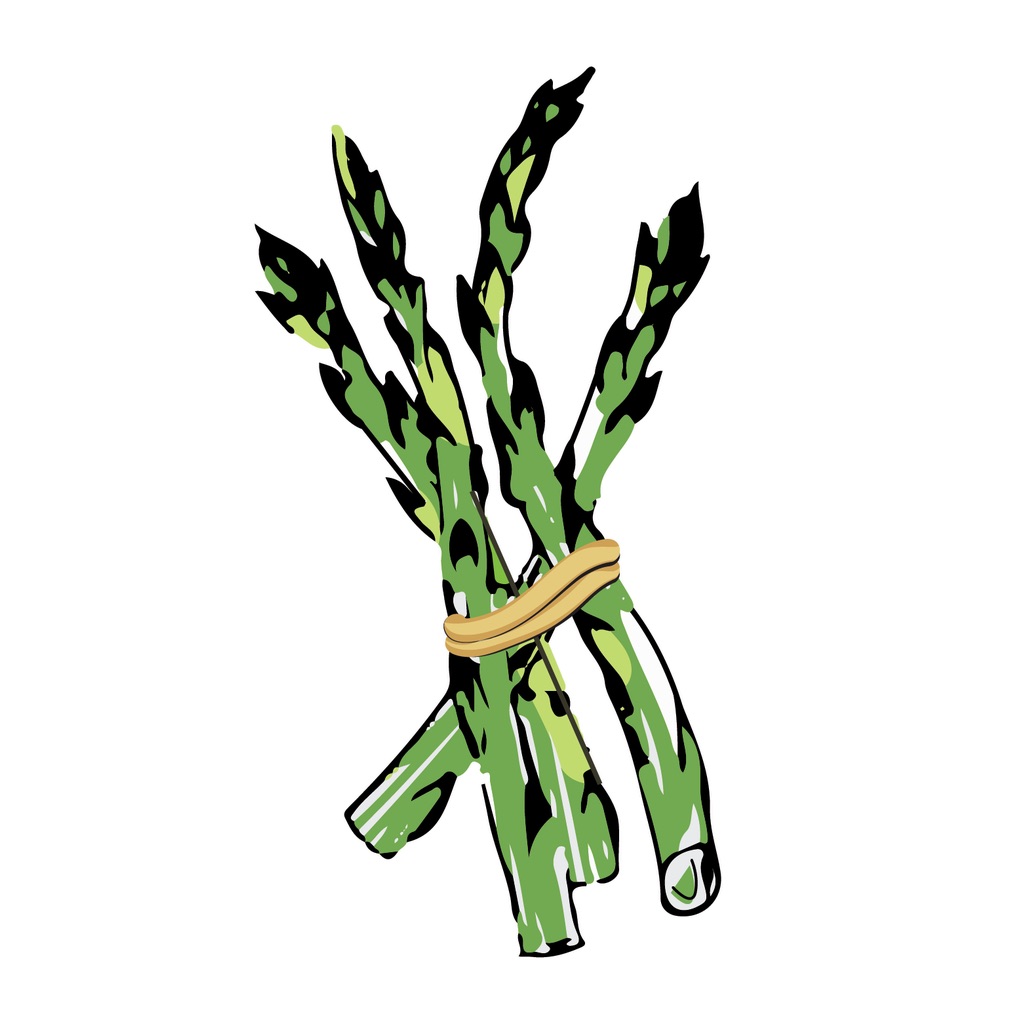 Asparagus - اسبارغوس