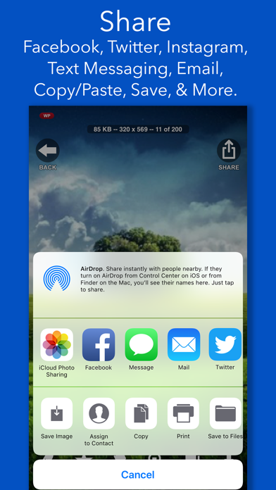 screenshot 6