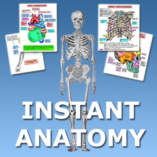instant anatomy flash cards