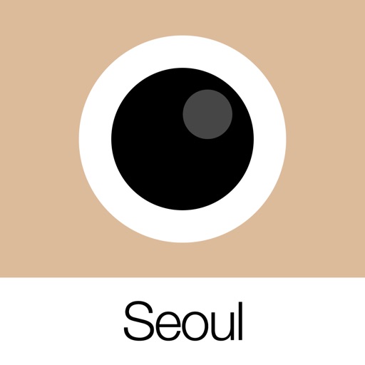 analog seoul
