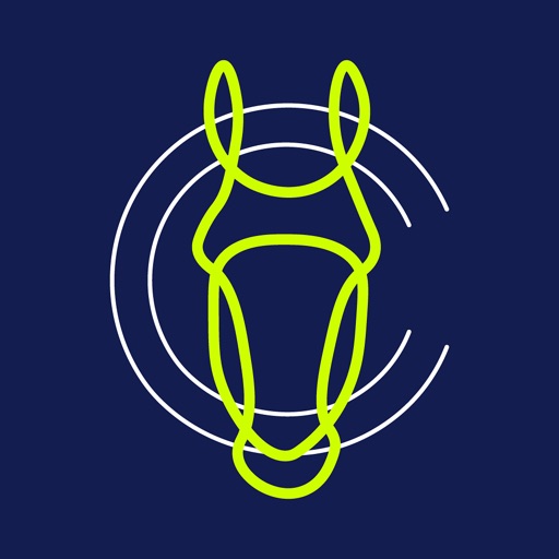 horses & competitions