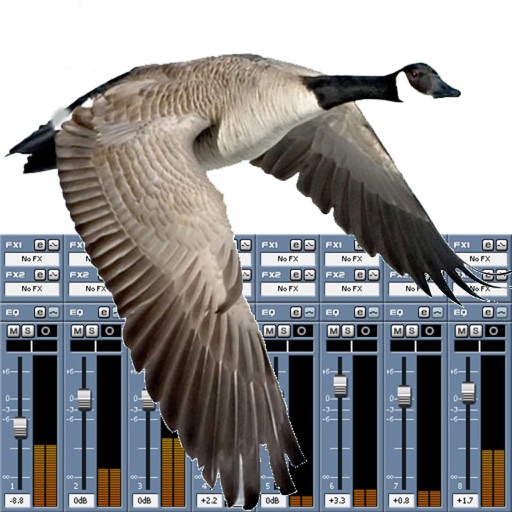 goose call mixer