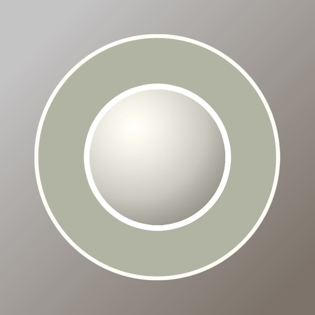 Light Meter Wheel