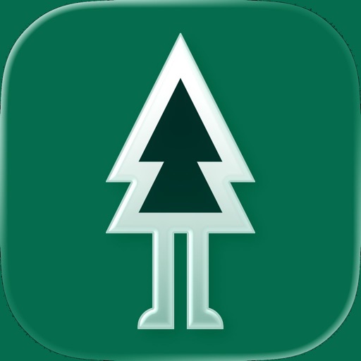 forest - ebike sharing