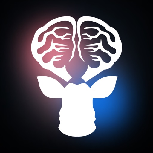 neuraldrive