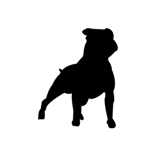 cuidado con el perro