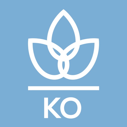 modern essentials korean