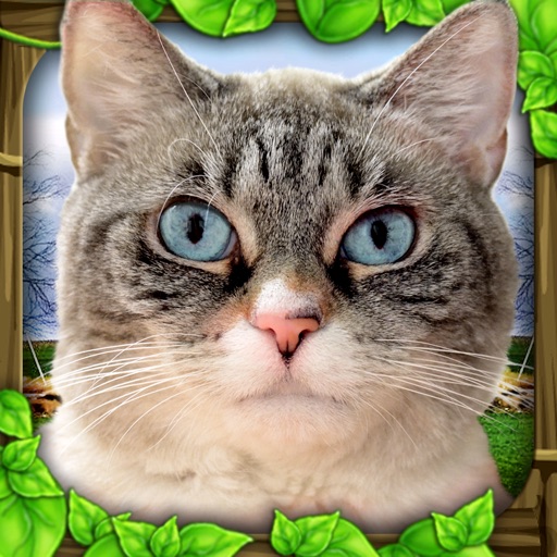 stray cat simulator
