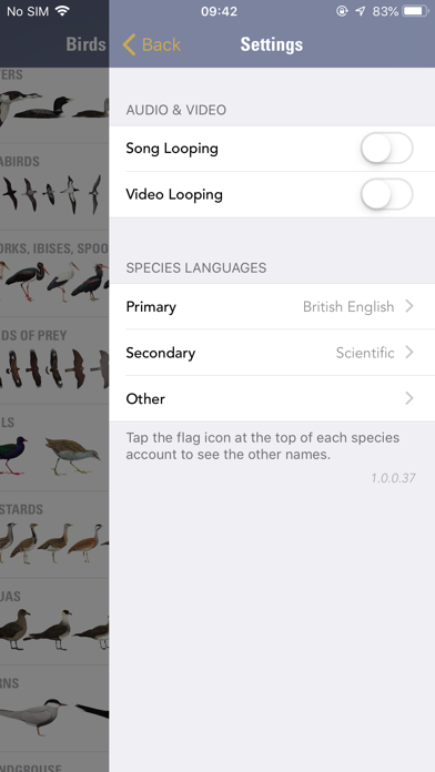 screenshot 9
