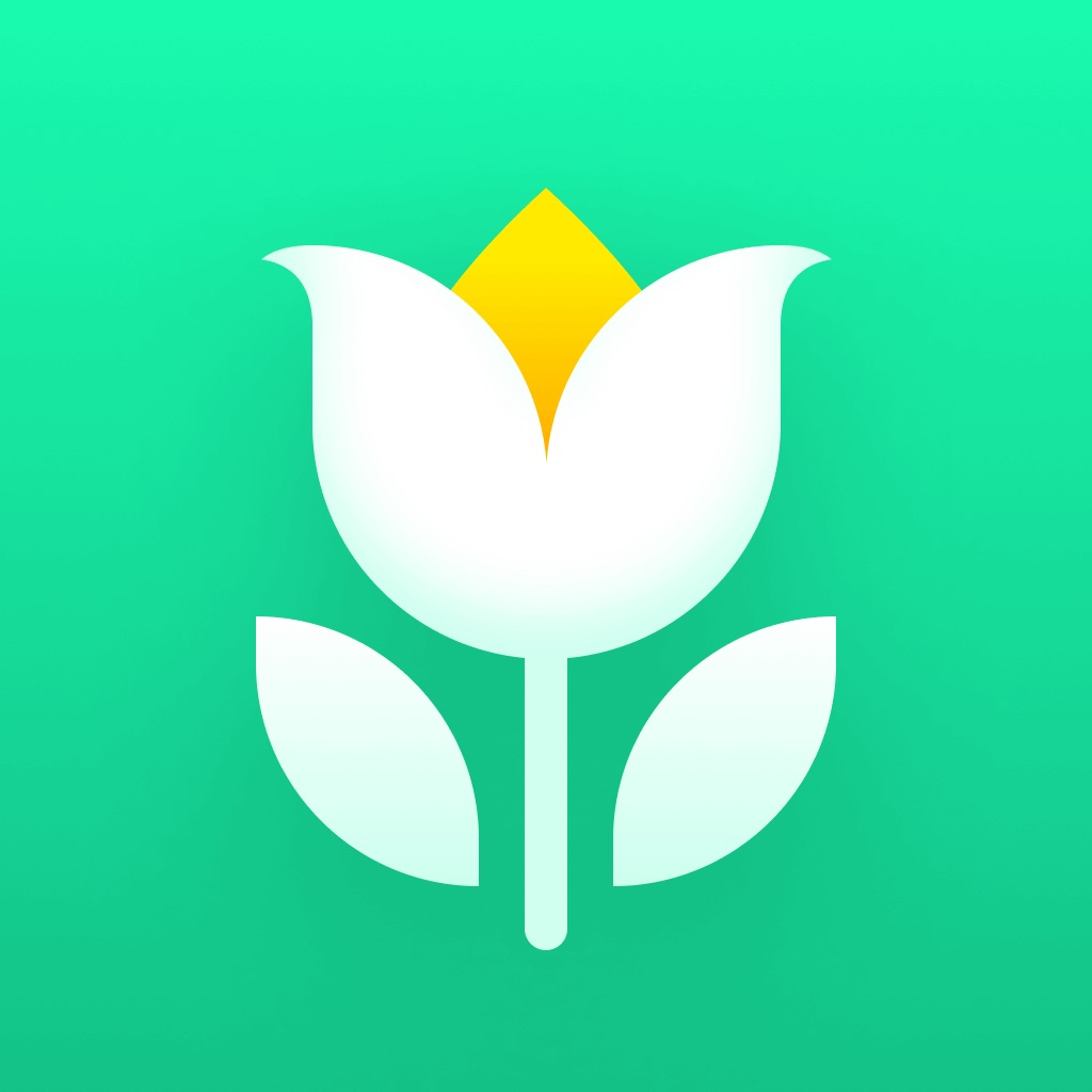 Plant Parent - Guida alla Cura