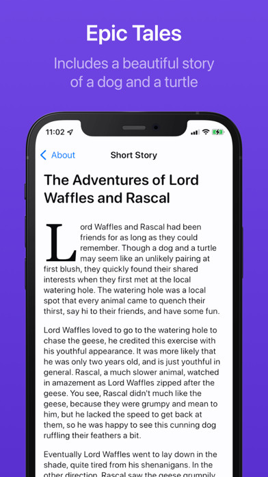 screenshot 10