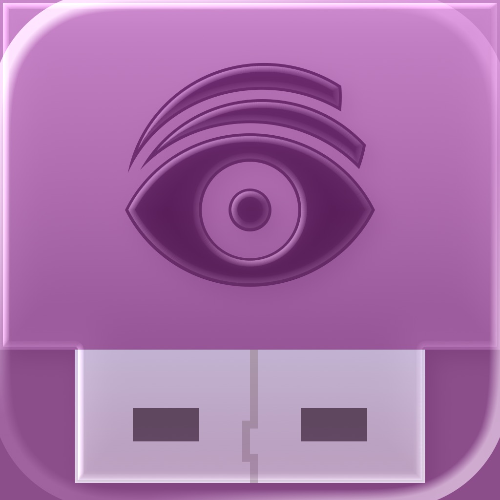 USB Disk