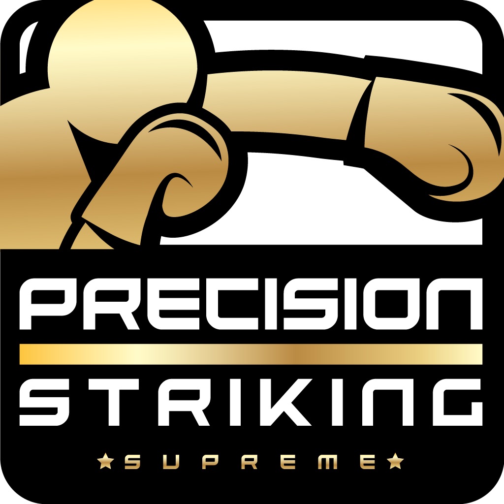 Precision Boxing Coach Pro