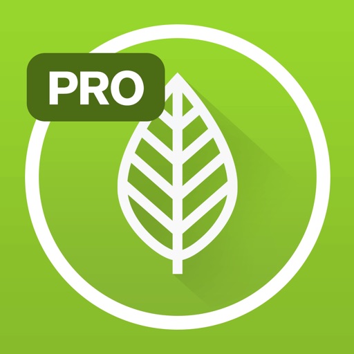 garden plate pro