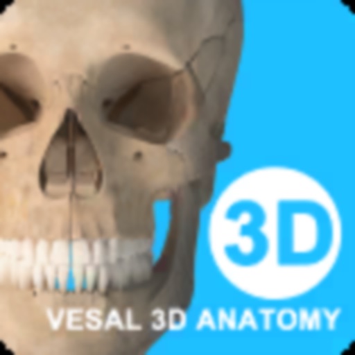 维萨里3d解剖-医学生解剖资源库