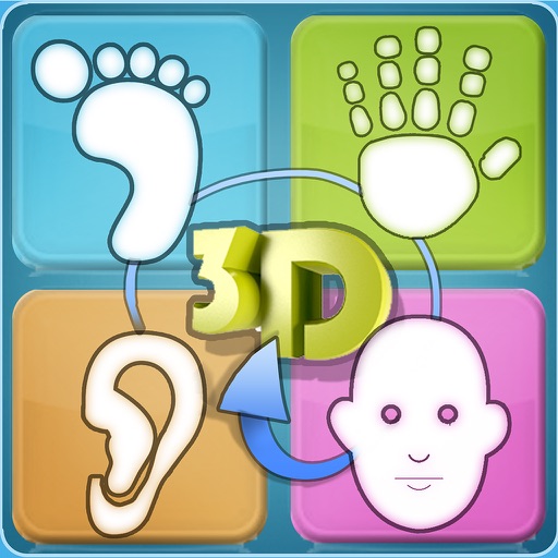total reflexology-3d