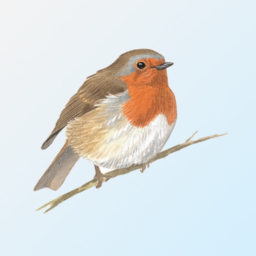 eguide to british birds