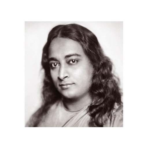 a yogi