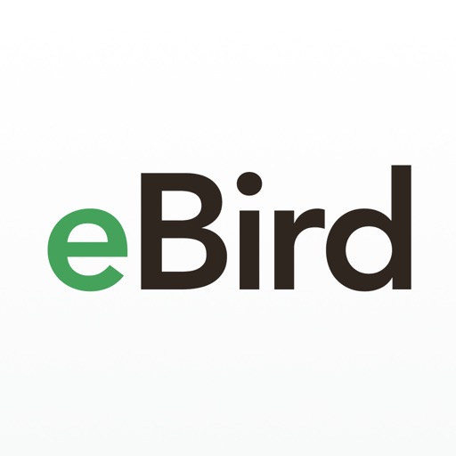 ebird