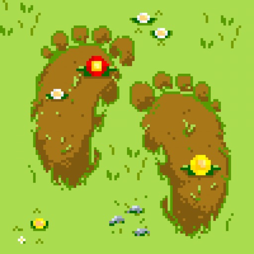 pixsteps: gamified pedometer