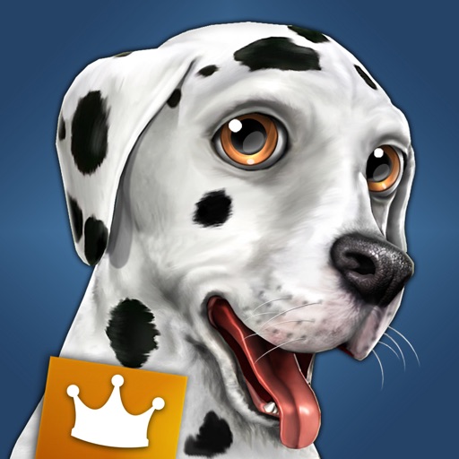 dog world premium - mon chiot