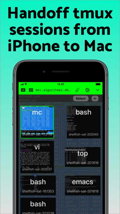 screenshot 7