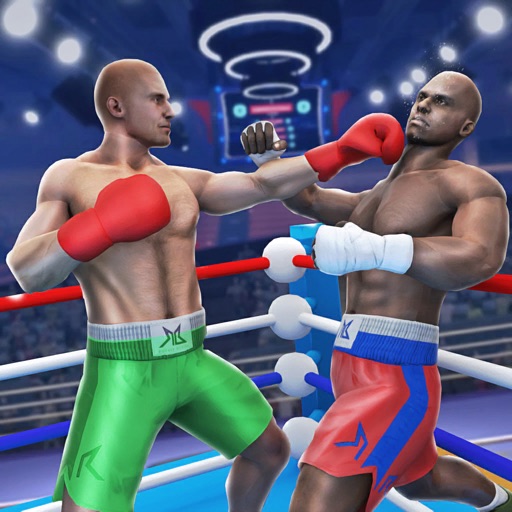 #1 mma 拳击冠军
