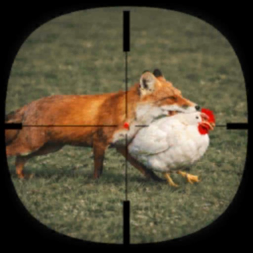 animal hunter: wild shooting