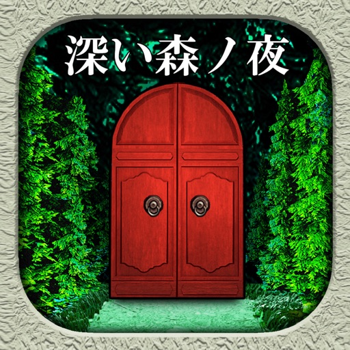 night in the deep forest