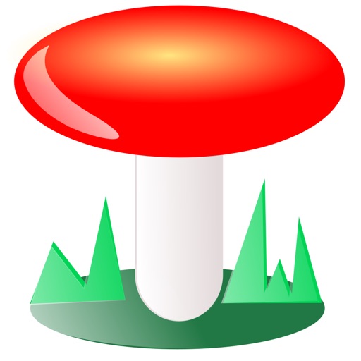 funghi italiani
