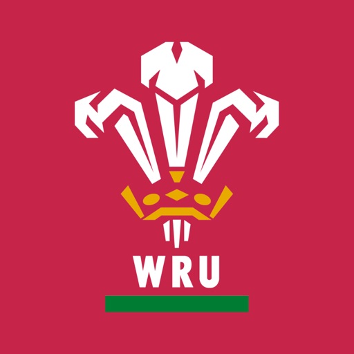 rygbi cymru
