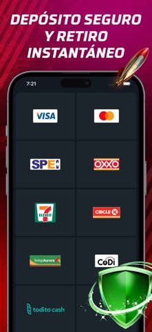 screenshot 10