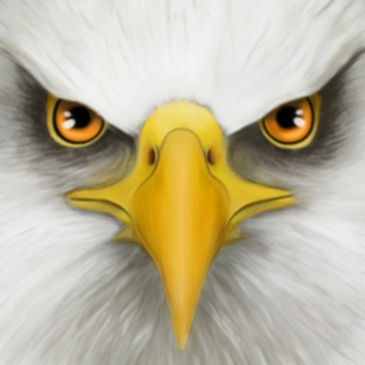 ultimate bird simulator