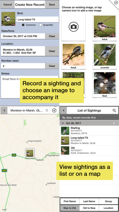 screenshot 7