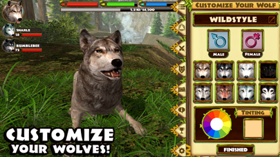 screenshot 4
