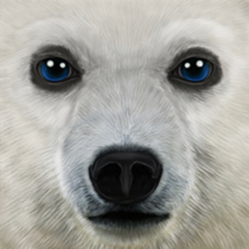 ultimate arctic simulator