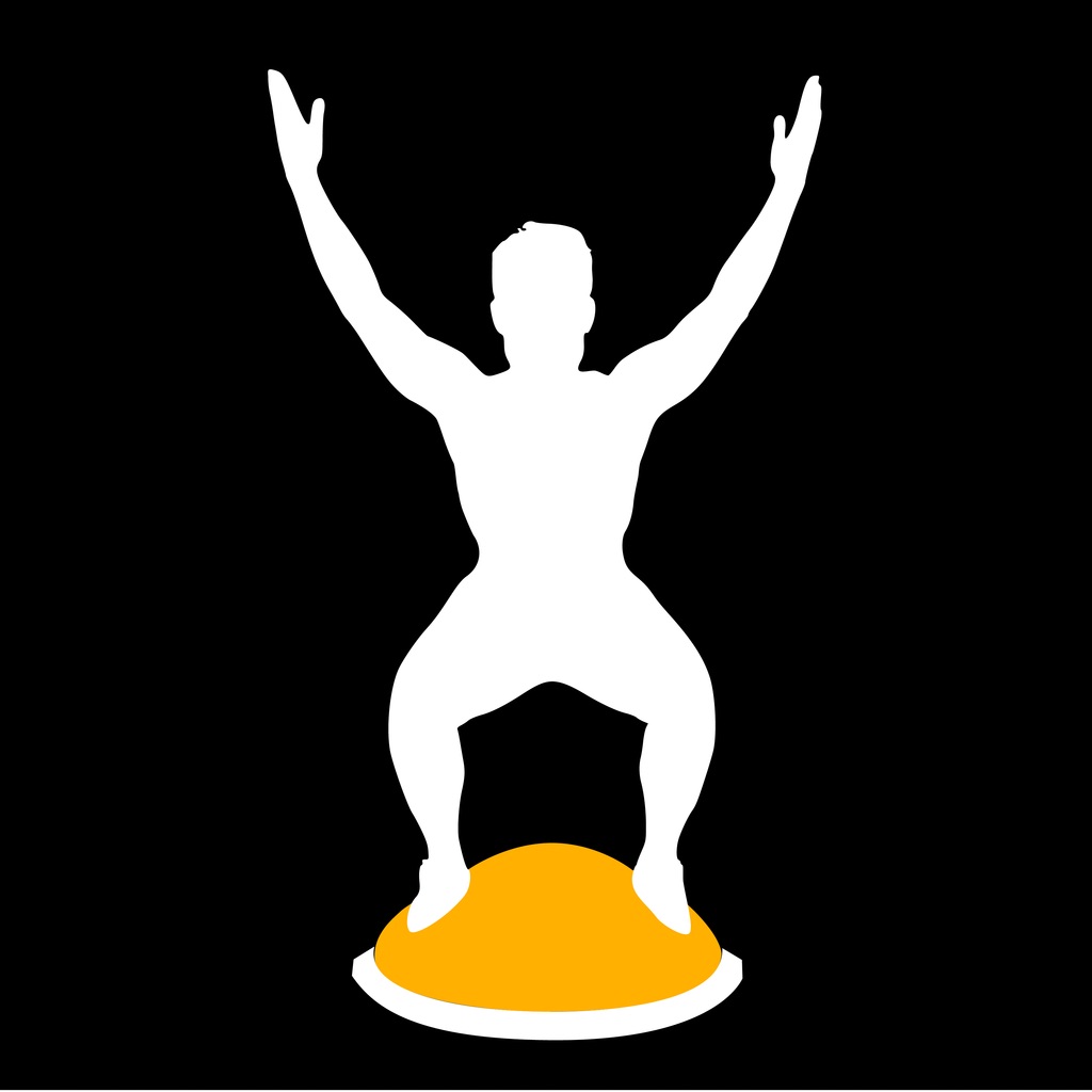 Stark Bosu Ball