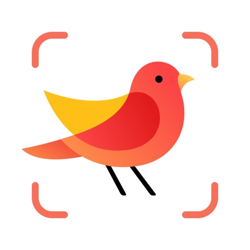 picture bird - bird identifier